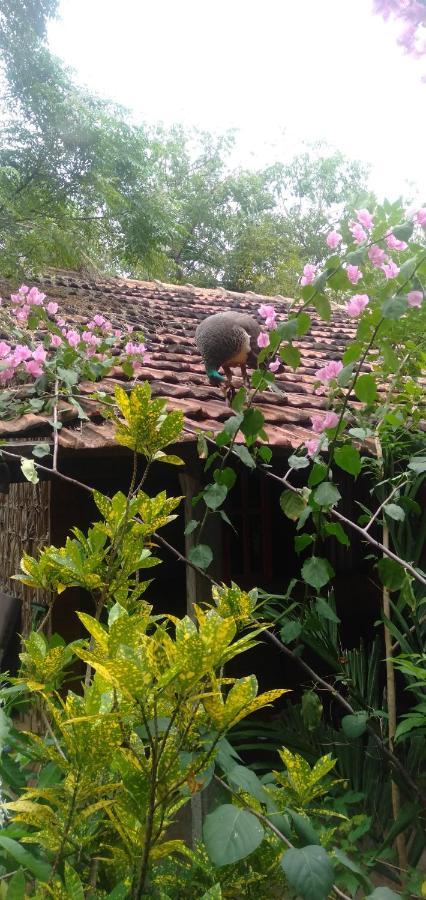 Walkers Hostel Trincomalee Exterior photo